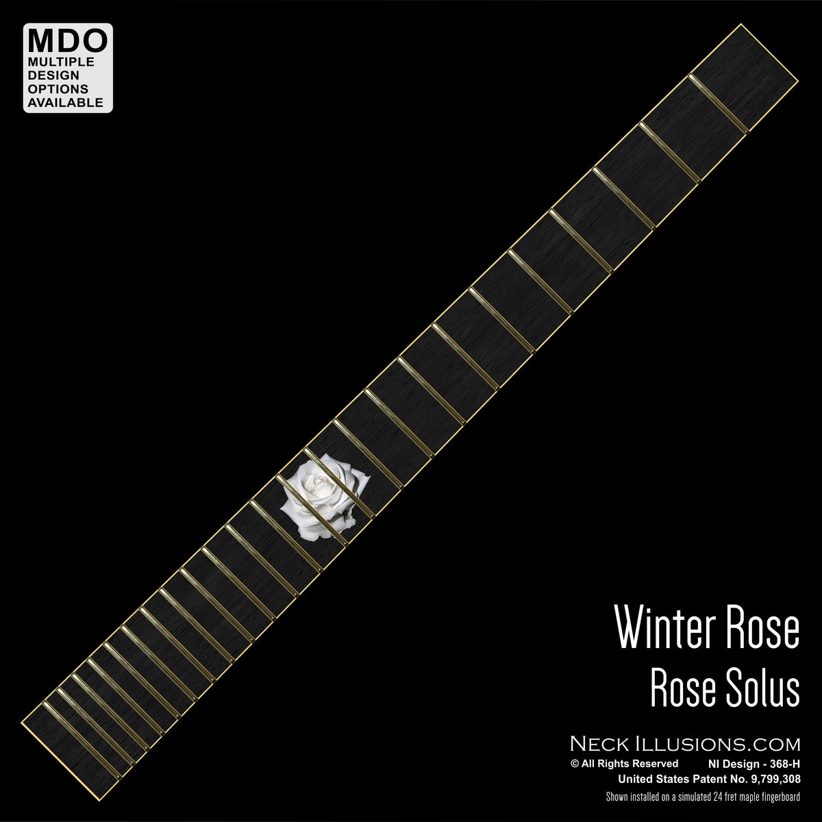 Winter Rose on Ebony