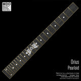 Orius