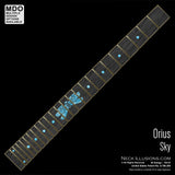 Orius