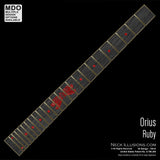 Orius