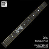 Orius