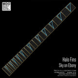 Halo Fins on Ebony