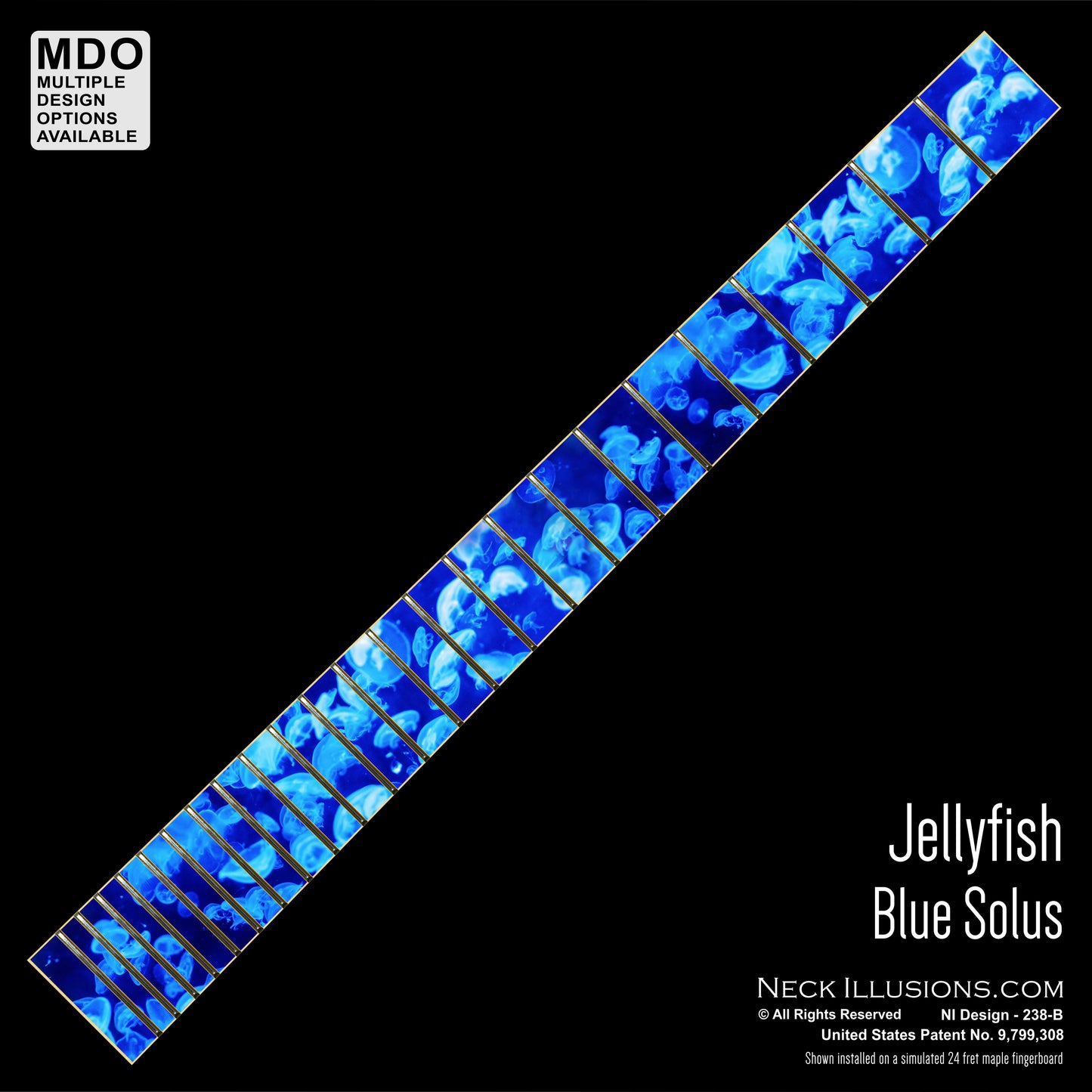 Jellyfish
