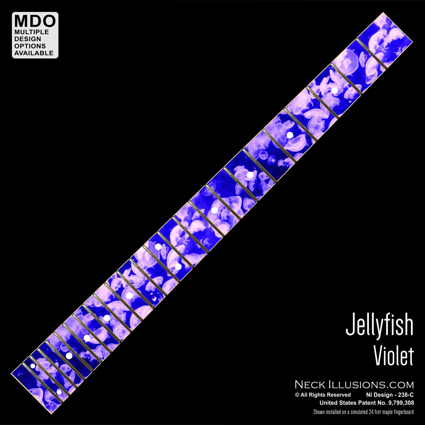 Jellyfish