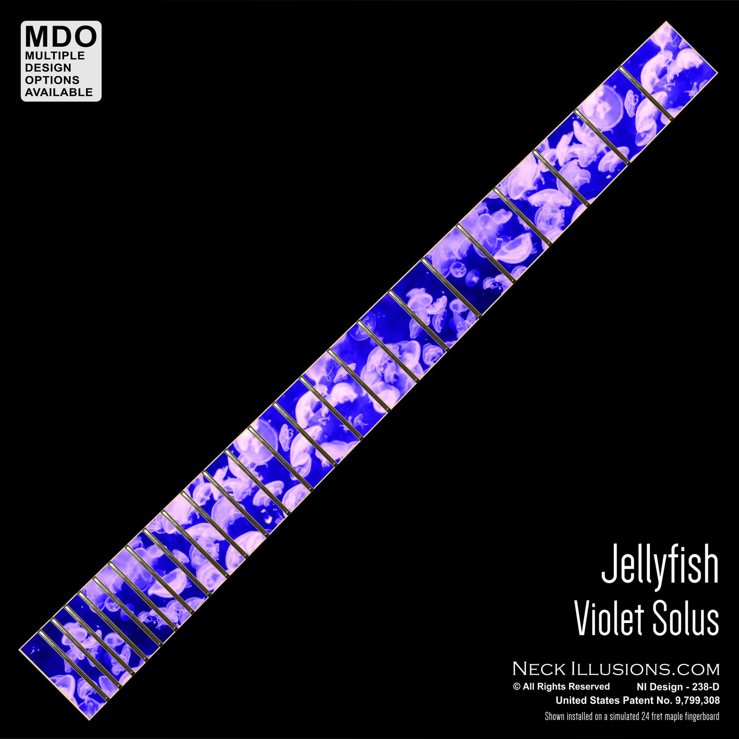 Jellyfish