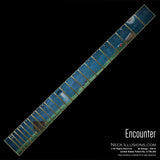 Encounter