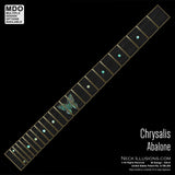 Chrysalis