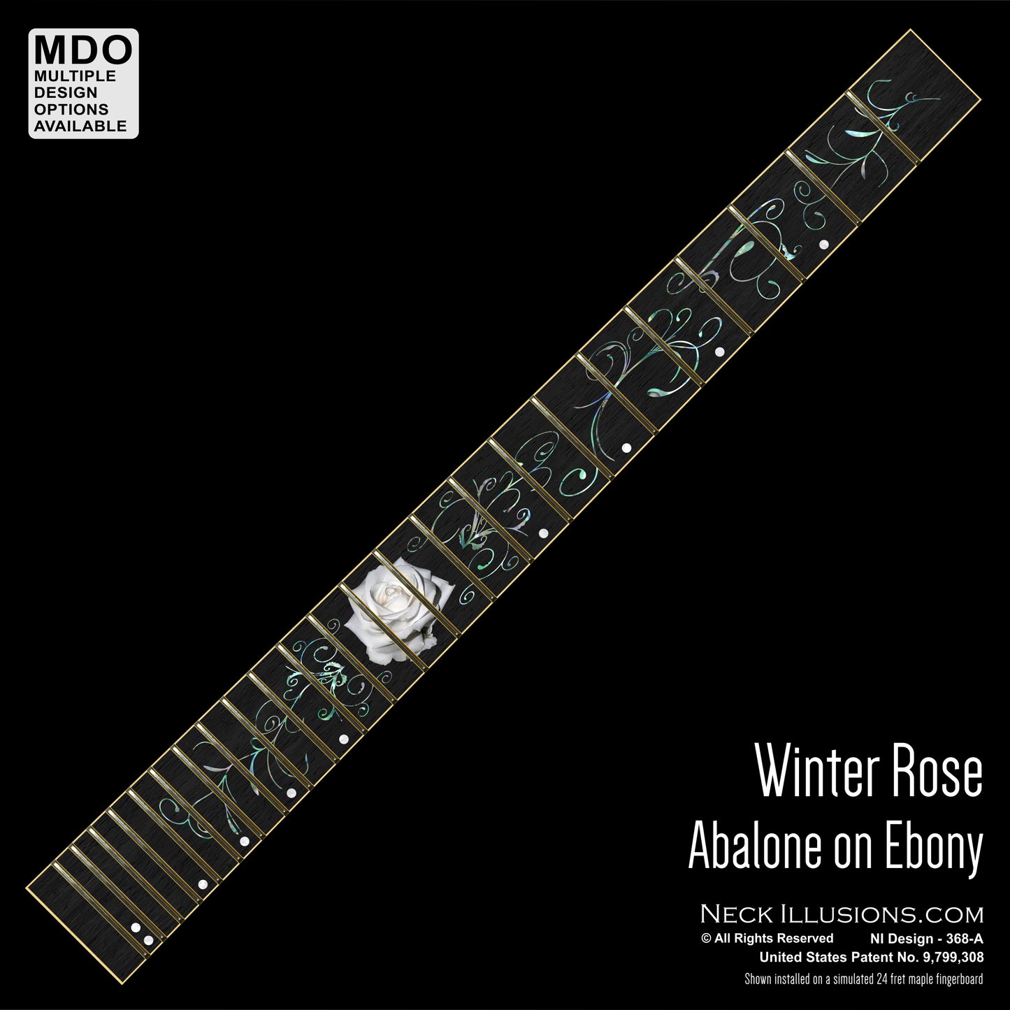 Winter Rose on Ebony
