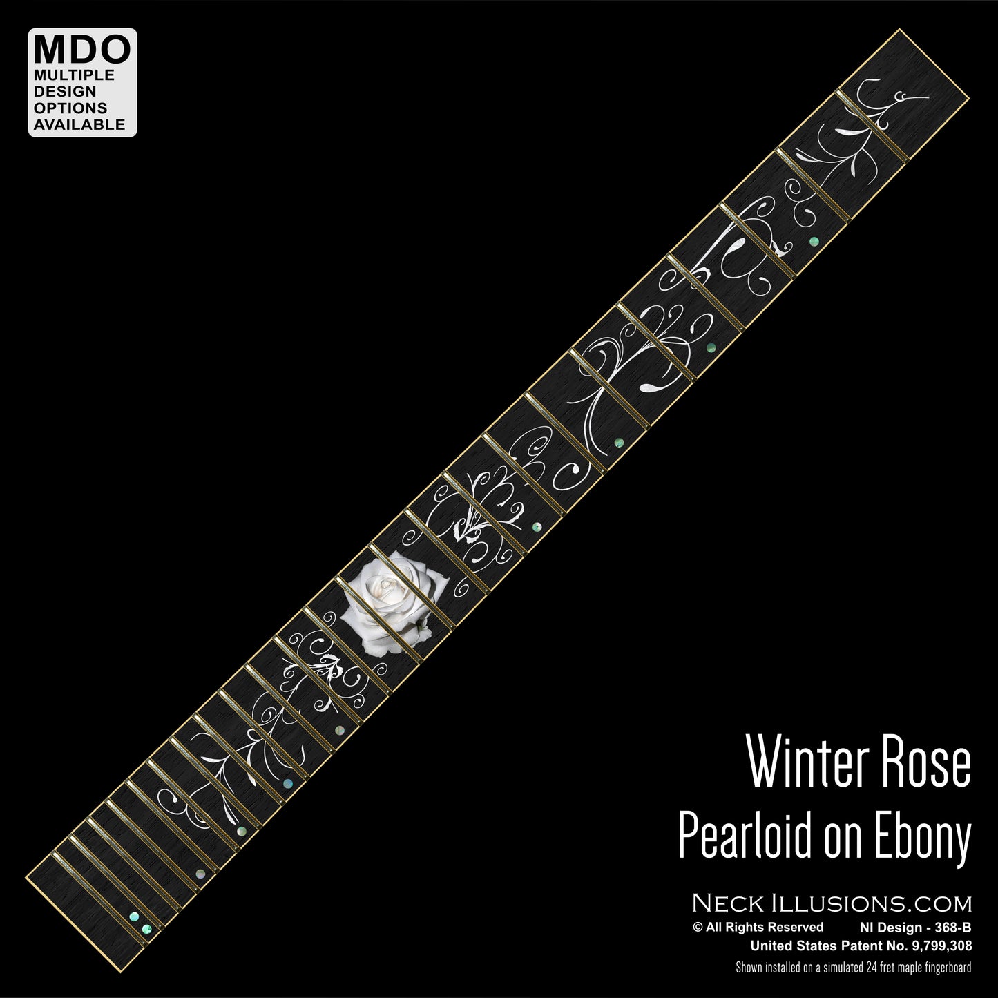 Winter Rose on Ebony