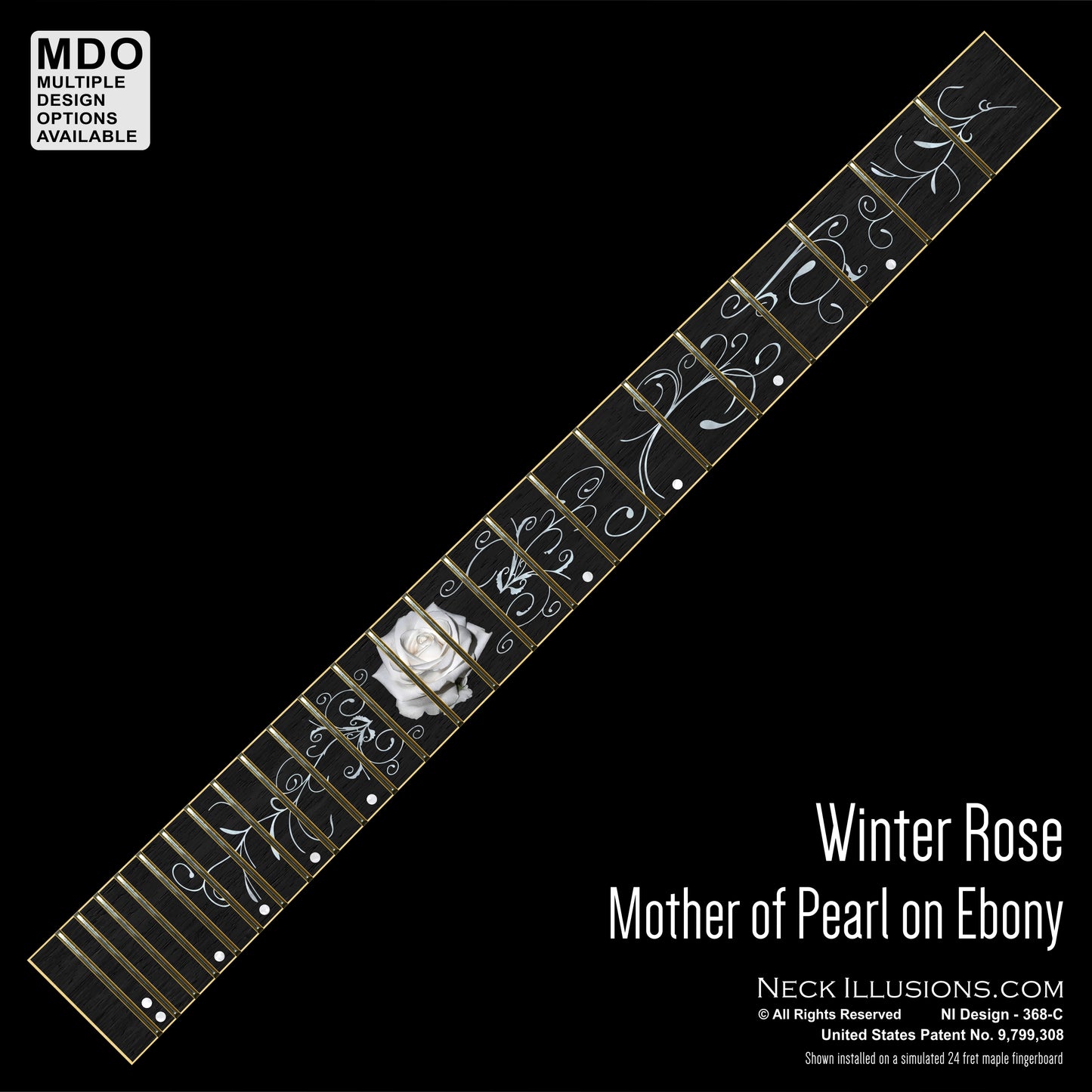 Winter Rose on Ebony