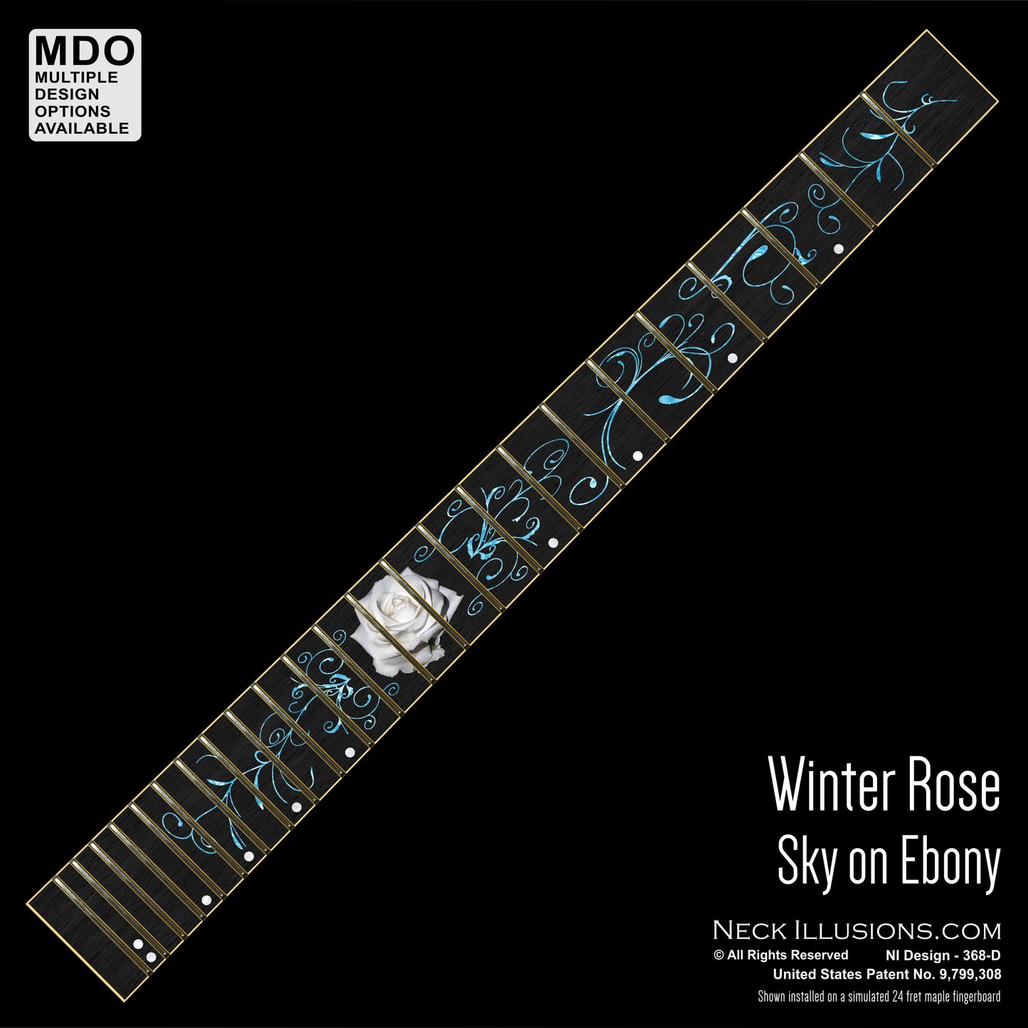 Winter Rose on Ebony