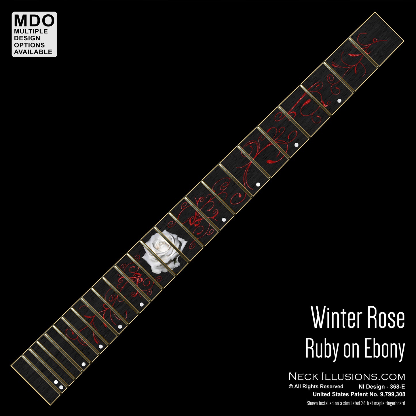Winter Rose on Ebony