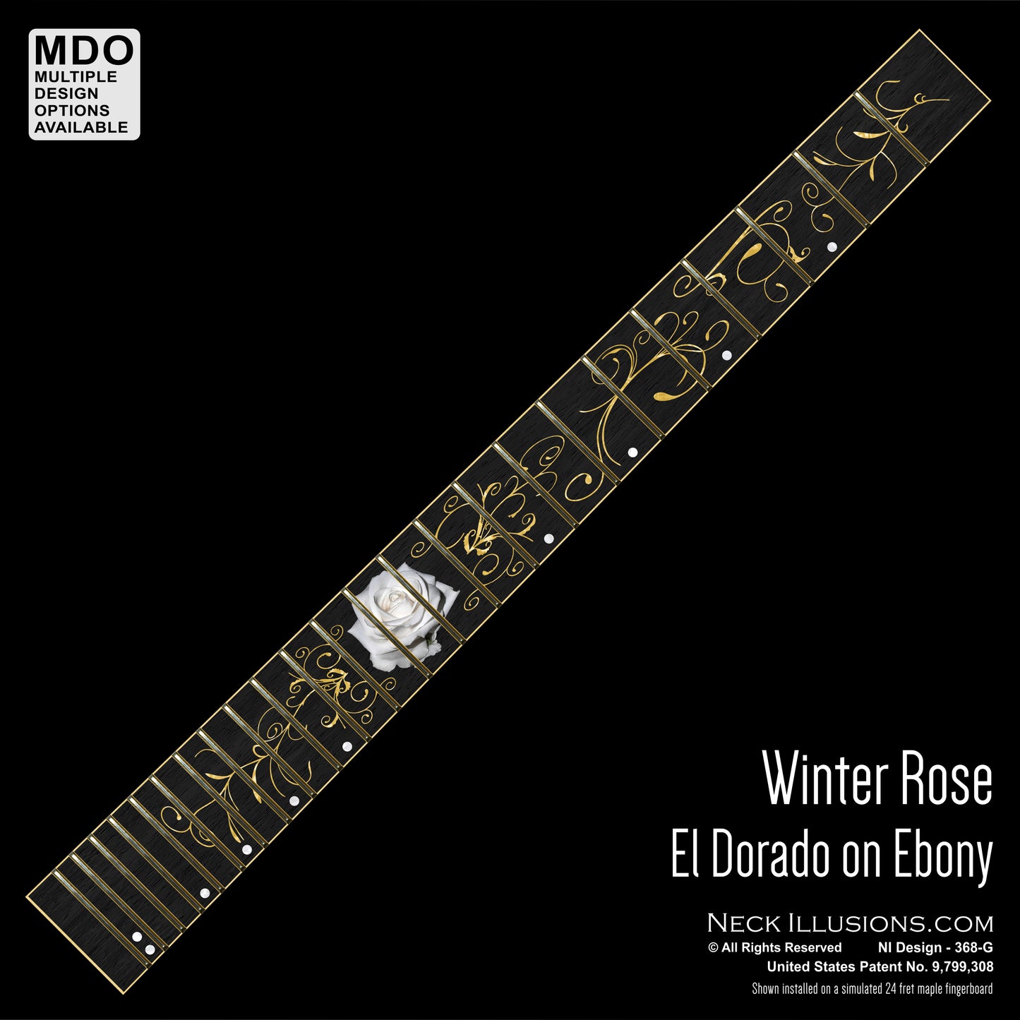 Winter Rose on Ebony