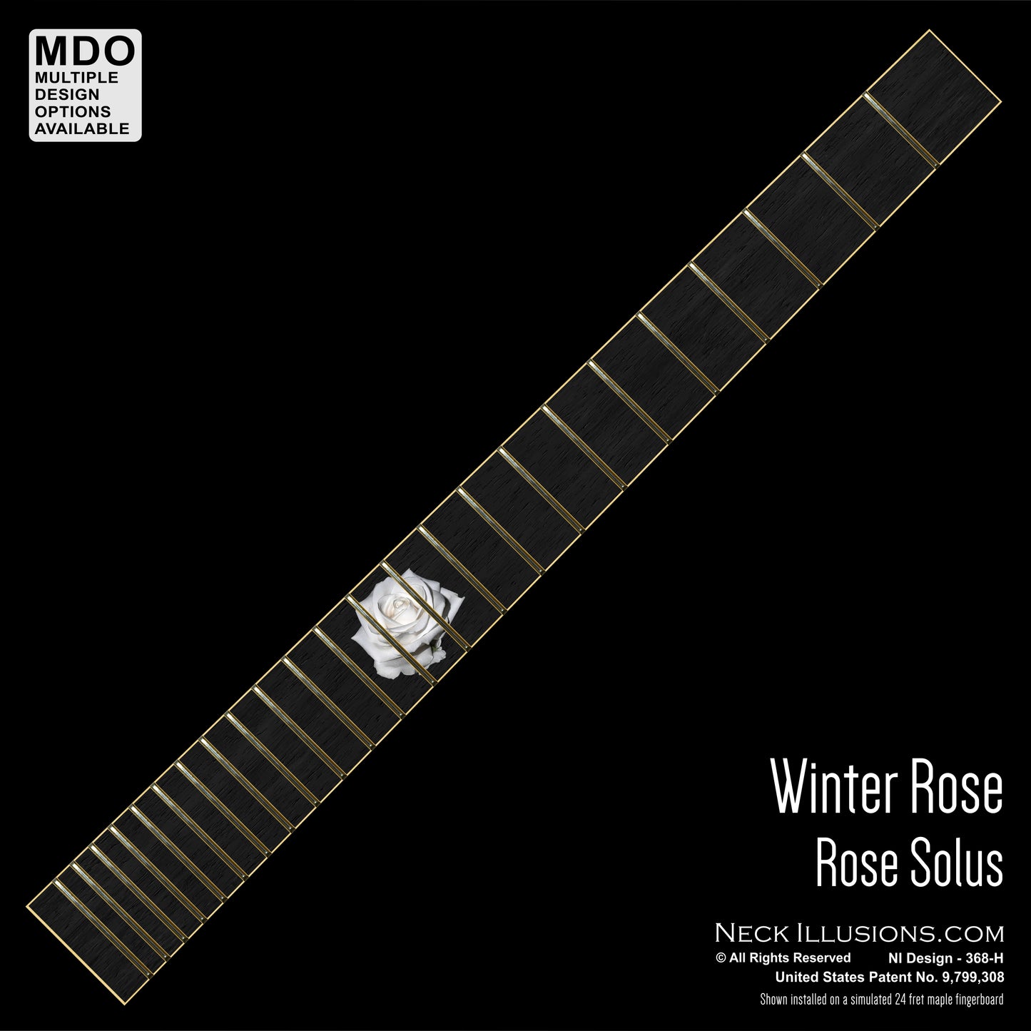 Winter Rose on Ebony