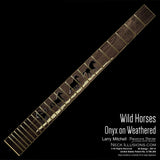 Larry Mitchell - Wild Horses on Weathered