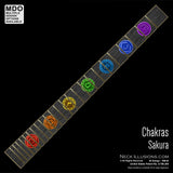 Chakras